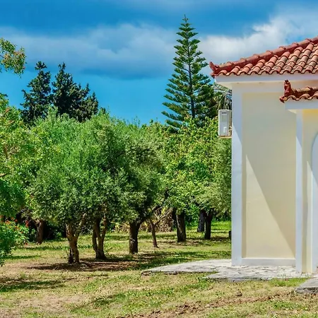 Roma Vasilikos (Zakynthos)